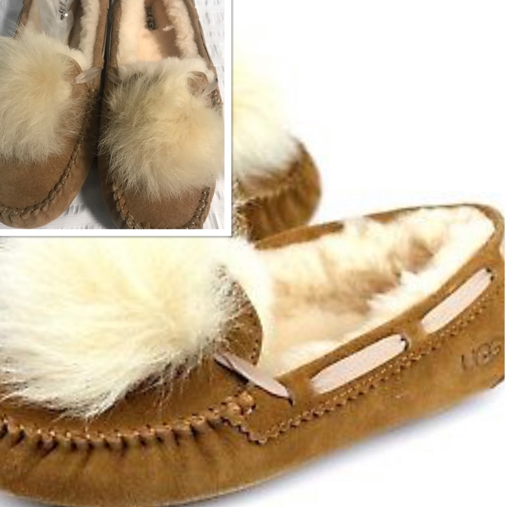 NEW IN BOX UGG Dakota Slippers 13113